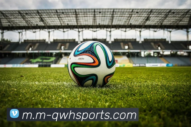 体育下注全站App